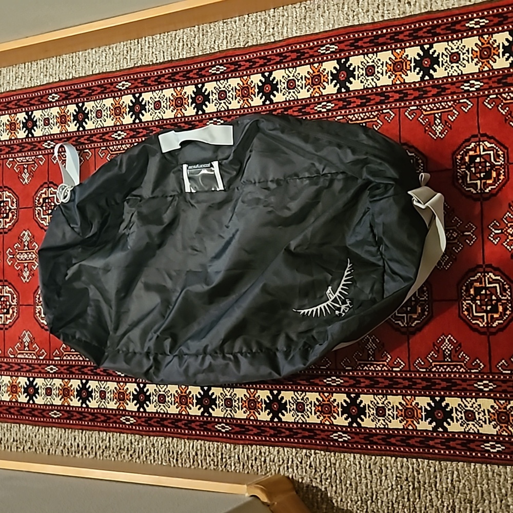 Osprey poco child carrying  case